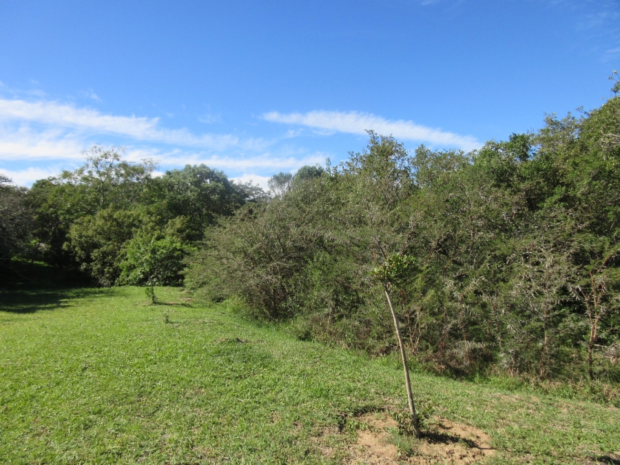 0 Bedroom Property for Sale in Bathurst Eastern Cape